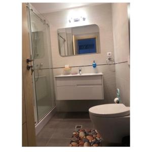 een badkamer met een toilet, een wastafel en een douche bij Onix Sea Apartment in Mamaia Nord – Năvodari