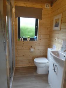 bagno con servizi igienici, lavandino e finestra di Pound Farm Holidays - Orchard Lodge a Cullompton