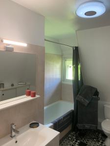 a bathroom with a shower and a sink and a toilet at la p’tite chaumière in Forges-les-Eaux +57 photos