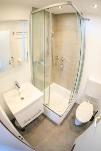 a bathroom with a shower and a sink and a toilet at Modern Apartment in city center in Würzburg