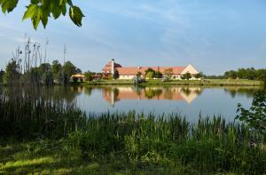a house on the shore of a lake at Residence Safari Resort - Bison Lodge in Borovany