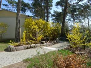 Galeriebild der Unterkunft Ferienbungalow Mondfisch an der Ostsee in Zinnowitz