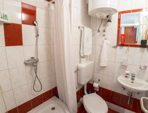 a bathroom with a shower and a toilet and a sink at Yellow Lily Mostar Apartman in Mostar