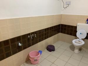 Ένα μπάνιο στο DreamLand Home stay (JALORI PASS) +22 φωτογραφίες