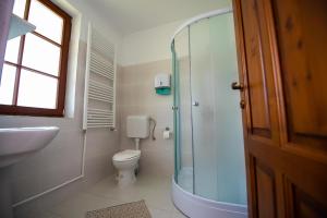 a bathroom with a toilet and a glass shower at Pensiunea Agroturistica Raluca in Vadu Izei +59 photos