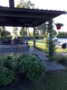 a garden with a pergola and some plants at Appartamento Ai Tigli in Caorle