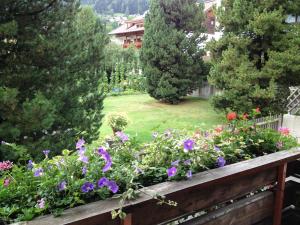 Zahrada ubytování Pension & Appartement Fortin