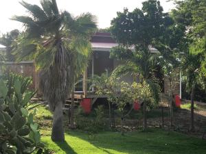 a house with a palm tree in a garden at Les Z’Alizés in Le Moule