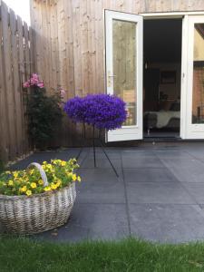 Photo de la galerie de l'établissement Het Hart, à Bergen