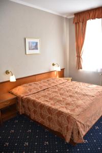 um quarto de hotel com uma cama num quarto em Arbes em Praga