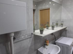Koupelna v ubytování Villa Brasina