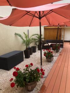 Fotografie z fotogalerie ubytování Mosoly Apartman v destinaci Szeged