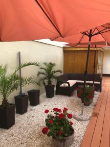 Zahrada ubytování Mosoly Apartman