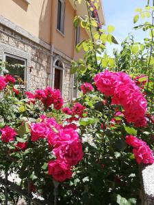 un montón de rosas rosas delante de un edificio en Il Giardino en Baunei