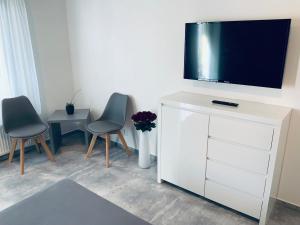 TV a/nebo společenská místnost v ubytování Ubytování V Zátiší Lednice