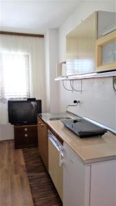 Η κουζίνα ή μικρή κουζίνα στο House Mergl Gradac +26 φωτογραφίες