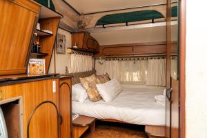 Двухъярусная кровать или двухъярусные кровати в номере Kalahari Camelthorn Guesthouse and Camping