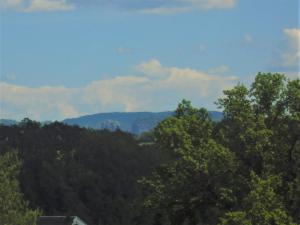 Fotografie z fotogalerie ubytování Erbgericht v destinaci Bad Schandau