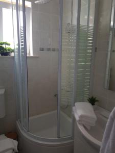 a bathroom with a shower and a toilet and a sink at Guest Accommodation Sveti Jakov in Dubrovnik