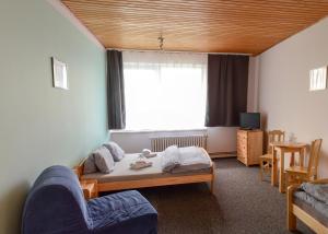 een kleine kamer met een bed en een raam bij Hotel Andromeda in Ostružná