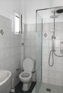a bathroom with a toilet and a shower and a sink at Afkos Apartments in Polykhrono