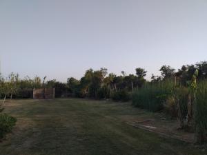 an empty yard with grass and trees in the background at La perla del Sud in Portopalo