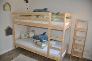two bunk beds in a room with two cats on them at Fischerhus in Fehmarn