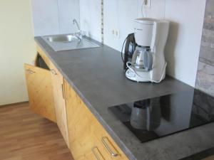 Kuchyňa alebo kuchynka v ubytovaní Apartments Hartsleben