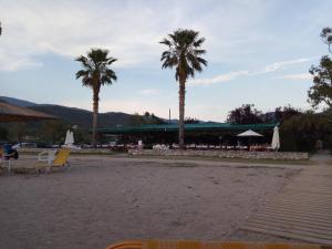 a beach with two palm trees and a building at studio στην θαλασσα in Koropi