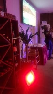 TV o dispositivi per l'intrattenimento presso Scarlet Lodge