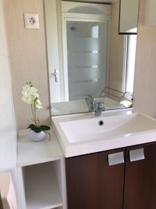 a bathroom with a white sink and a mirror at LE MEDOC AUX 4 VENTS in Jau-Dignac-et-Loirac +39 photos