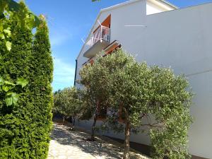 Gallery image of Apartments Boris in Jezera