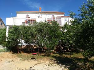 Gallery image of Apartments Boris in Jezera