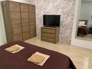 TV a/nebo společenská místnost v ubytování Rocca Apartments