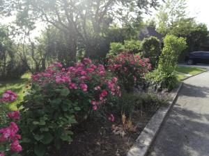 Zahrada ubytování Guesthouse Šebalj