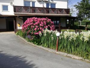 a garden of flowers in front of a house at Guesthouse Šebalj in Rakovica