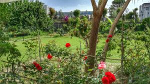 A garden outside B&B Tifeo