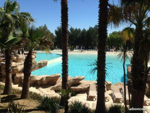 une piscine dans un complexe hôtelier avec des palmiers dans l'établissement les Restanques Du Golf de Saint Tropez, 83310 Grimaud, France Appartement, à Grimaud 32 autres photos