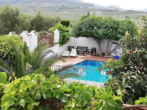 a swimming pool in a yard with trees at Cortijo Los Abedules in Cazorla