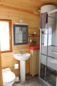 y baño con lavabo, aseo y espejo. en Ferme Du Pre Vert - Chambres d'hôtes B&B en Nort-Leulinghem