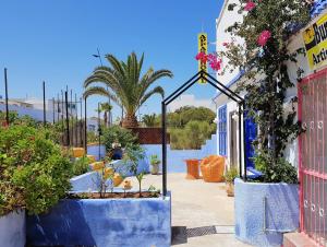 a group of potted plants in front of a building at Maison de la Lagune in Oualidia