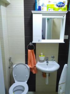 y baño con aseo y lavamanos. en Apartman Jevtić 1, en Gornja Toplica