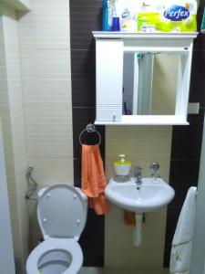Koupelna v ubytování Apartman Jevtić 1