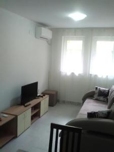 sala de estar con sofá y escritorio con ordenador en Apartman Jevtić 1, en Gornja Toplica