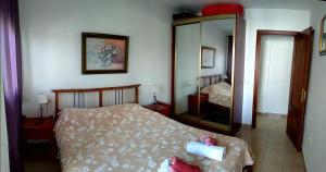 サン・イシドロにあるApartment Tenerife Sur San Isidroのベッドルーム(ベッド1台、大きな鏡付)