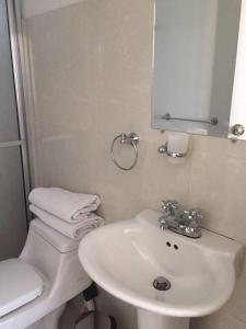 a bathroom with a sink and a toilet and a mirror at SPACIOUS STUDIO CENTRAL LOCATION (201) in Bogotá