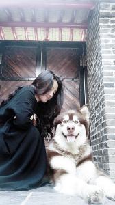 Animal ou animaux domestique(s) séjournant avec des clients dans l'établissement Guixu Huatang Homestay