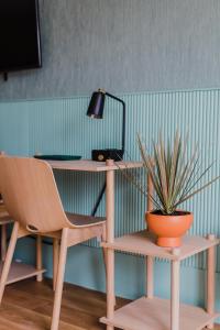 a desk and a chair and a potted plant at Drake Motor Inn in Wellington