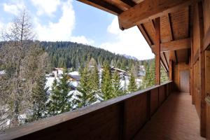 Príroda v okolí apartmánového hotela