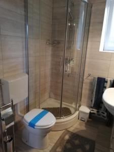 a bathroom with a shower and a toilet and a sink at Villa Frane 101 in Beli